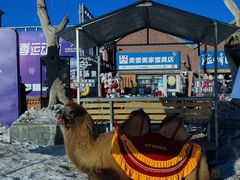 -丝绸之路山地度假区滑雪场
