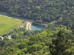 -惠山国家森林公园