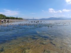 -深圳湾公园(南山区)