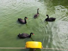 -无锡动物园·太湖欢乐园