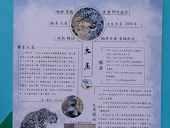 -青藏高原野生动物园