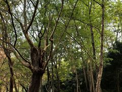 -采石矶景区