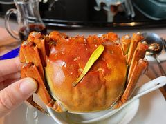 大闸蟹-夜上海(新天地店)