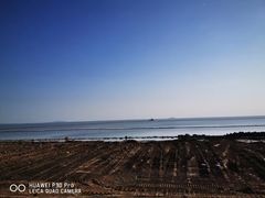 -合肥滨湖国家森林公园