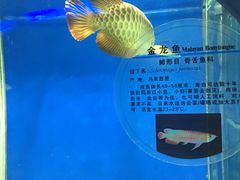 -南昌动物园