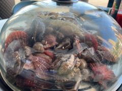 -大锅强·蒸海鲜青岛菜(吾悦广场店)