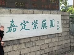 -嘉定紫藤园