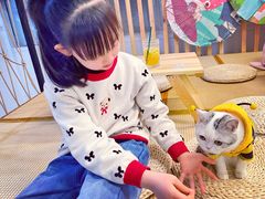 -柴迷FANS CLUB·柴犬狗咖·猫咖