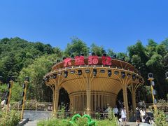 -栾川竹海野生动物园