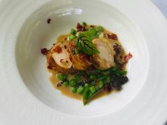 -蝶舍·MAISON PAPILLON