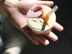 -Dip in Gelato(富民路店)