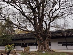 -苏州文庙(姑苏区)