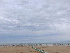 -日照海滨国家森林公园