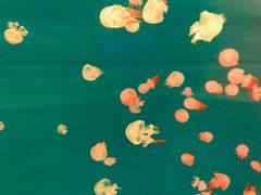 -多彩贵州城极地海洋世界