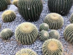 -祥源·阜阳生态乐园