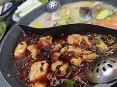 -秦巴石锅鱼(文化南路店)