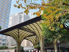 -The Drawing Room 闲逸廊(上海静安瑞吉酒店)