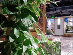 -云海肴·汽锅鸡·云南菜(天山百盛优客店)