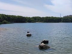 -美兰湖景区