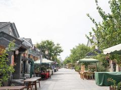 -渡海小渔村.老辈日照菜
