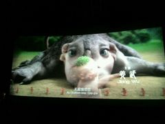 android_upload_pic-金逸影城(中关村店)