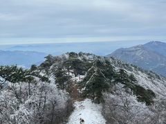-湖州龙王山景区