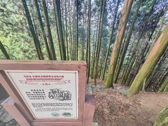 -井冈山风景名胜区-黄洋界