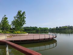 -东郊湿地公园