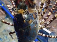 -鸿港海鲜批发市场