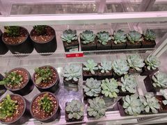 -KKV(深圳宏发大仟里店)