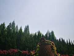 -东平国家森林公园