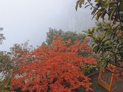 -大慈岩风景区