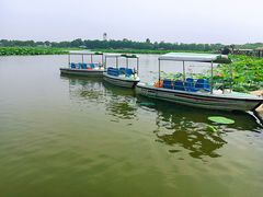 -白洋淀景区