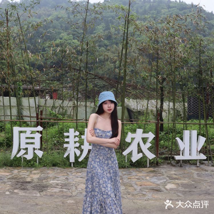 为了这一口鸡汤我愿意再来N次！！