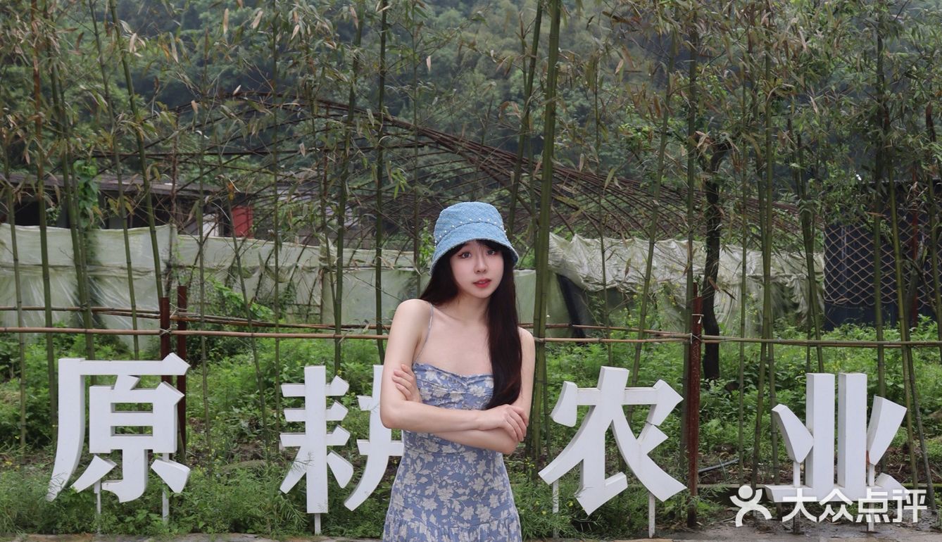 为了这一口鸡汤我愿意再来N次！！