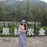 为了这一口鸡汤我愿意再来N次！！