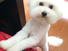 -骐奇宠物诊疗中心(南亭公路店)