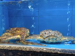 -钱山海鲜大排档