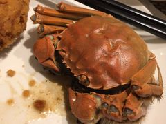 -上海圣淘沙万怡酒店