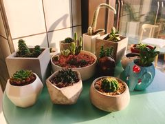 -蜜蜂小象·榴莲千层蛋糕(时代汇11栋店)