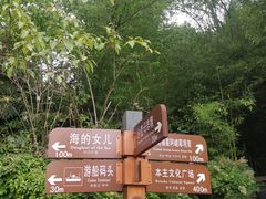 -南诏风情岛