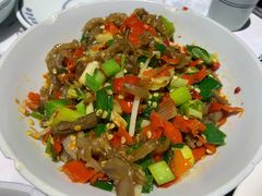 鸭掌筋-壹盏灯(惠农店)