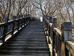 -狼牙山风景区