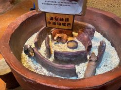 点击看大图 -奇幻萌宠部落(映月湖环宇城店)