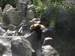 -云南野生动物园