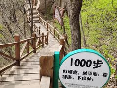 -大岭沟猕猴桃谷风景区