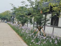 -江心屿景区