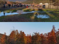 -塔川景区