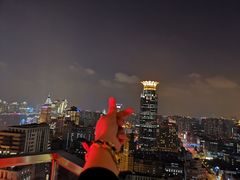 -顶层酒吧ROOF(上海艾迪逊酒店)