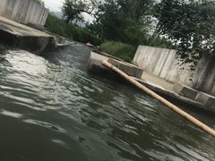-天目湖松岭竹海漂流